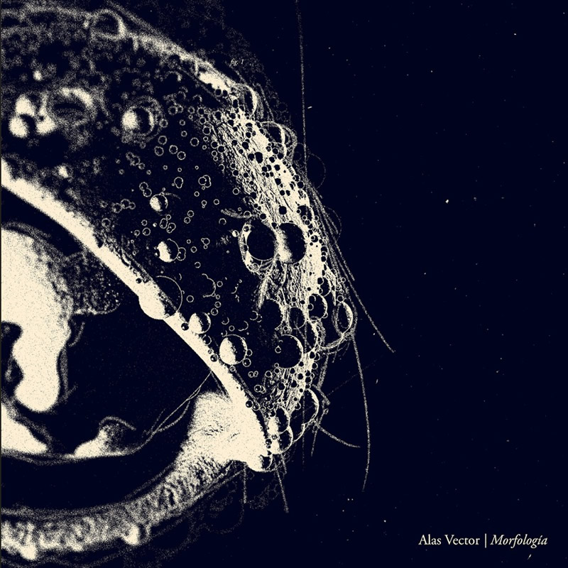 Misericordia x2 (Una Simulación)